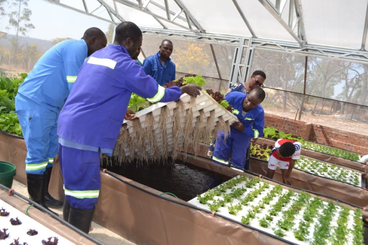 Aquaponics demonstration