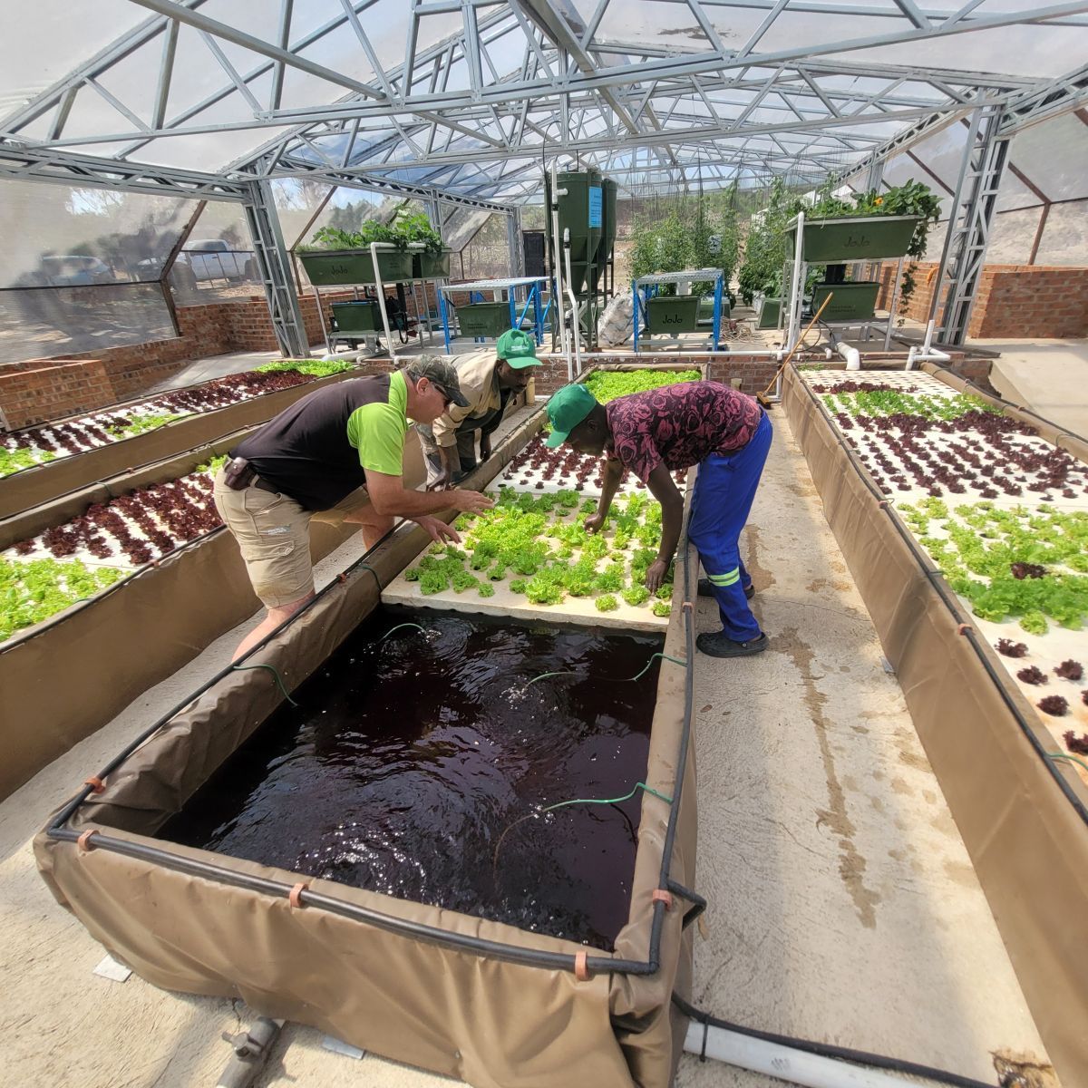 Technical consultancy and advisory services