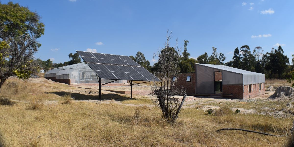 Aquaponics site visit
